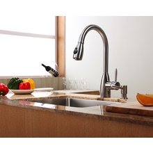 A Basic Kitchen faucet